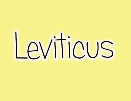 Old Testament Survey: Leviticus