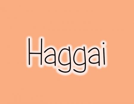 Old Testament Survey: Haggai