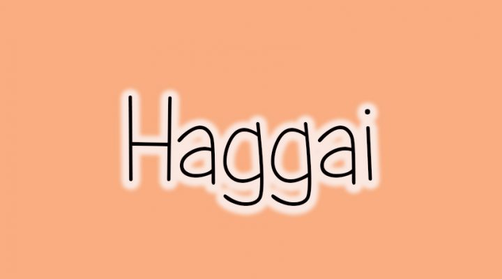Old Testament Survey: Haggai