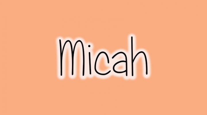 Old Testament Survey: Micah