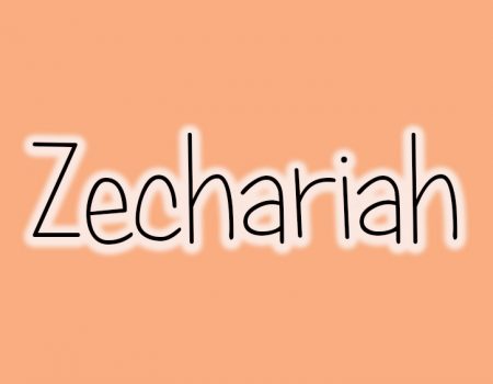 Old Testament Survey: Zechariah